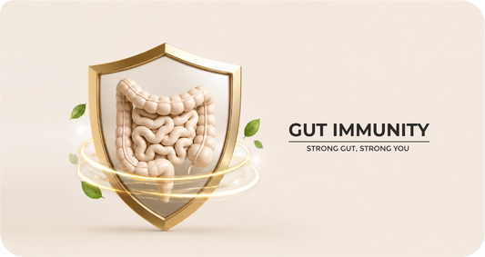 Your Gut, Urinary Health & Immunity: The Hidden Connection Most People Ignore