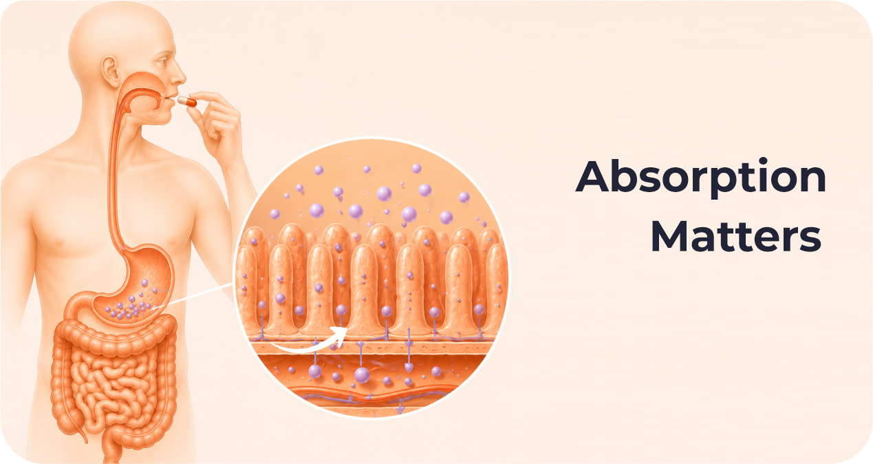 Why Your Wellness Routine May Not Be Working: The Missing Link in Nutrition