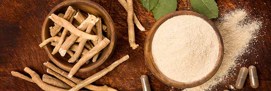 Ashwagandha for Men’s Vitality: The Science Behind Strength, Stamina & Performance