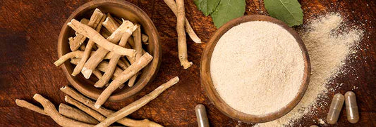 Ashwagandha for Men’s Vitality: The Science Behind Strength, Stamina & Performance