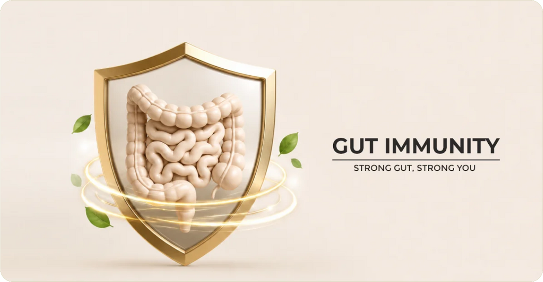 Your Gut, Urinary Health & Immunity: The Hidden Connection Most People Ignore