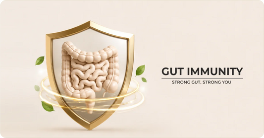 Your Gut, Urinary Health & Immunity: The Hidden Connection Most People Ignore