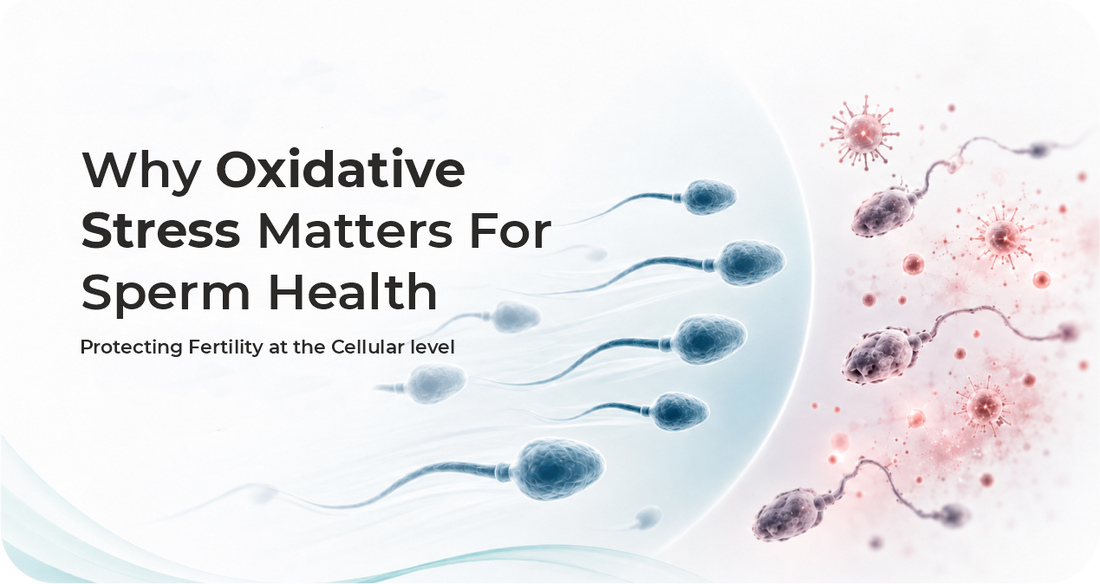 Why Oxidative Stress Matters for Sperm Health: Protecting Fertility at the Cellular Level