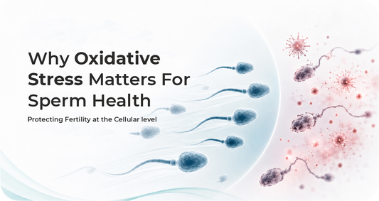 Why Oxidative Stress Matters for Sperm Health: Protecting Fertility at the Cellular Level