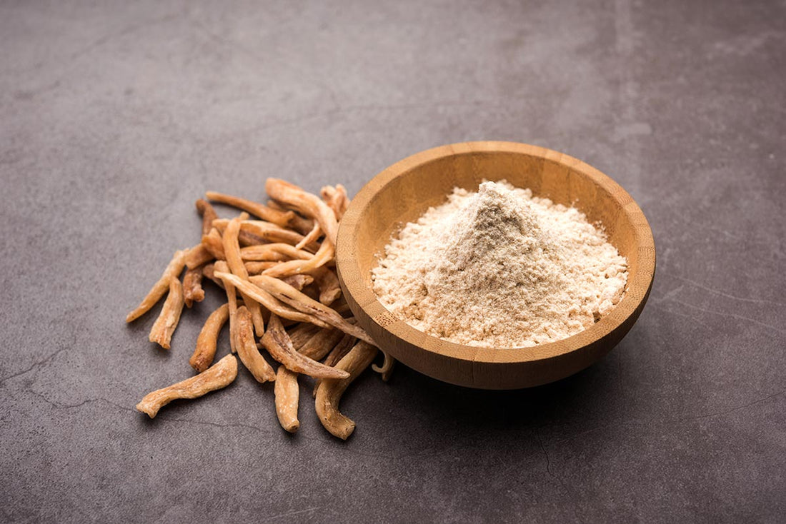 Why Safed Musli Is Valued for Strength, Stamina & Men’s Vitality