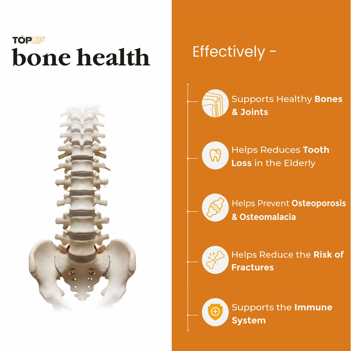 Bone Health - India's First Veg Source Of Vitamin D3 And Calcium